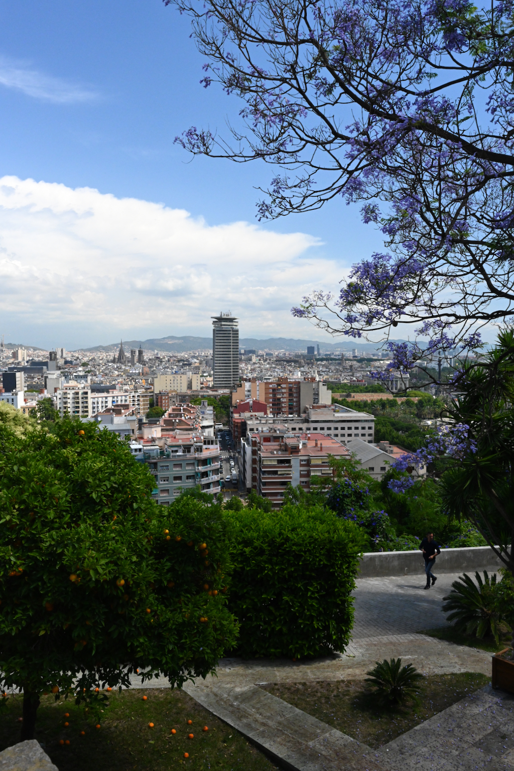 Drassanes from Montjuic Park