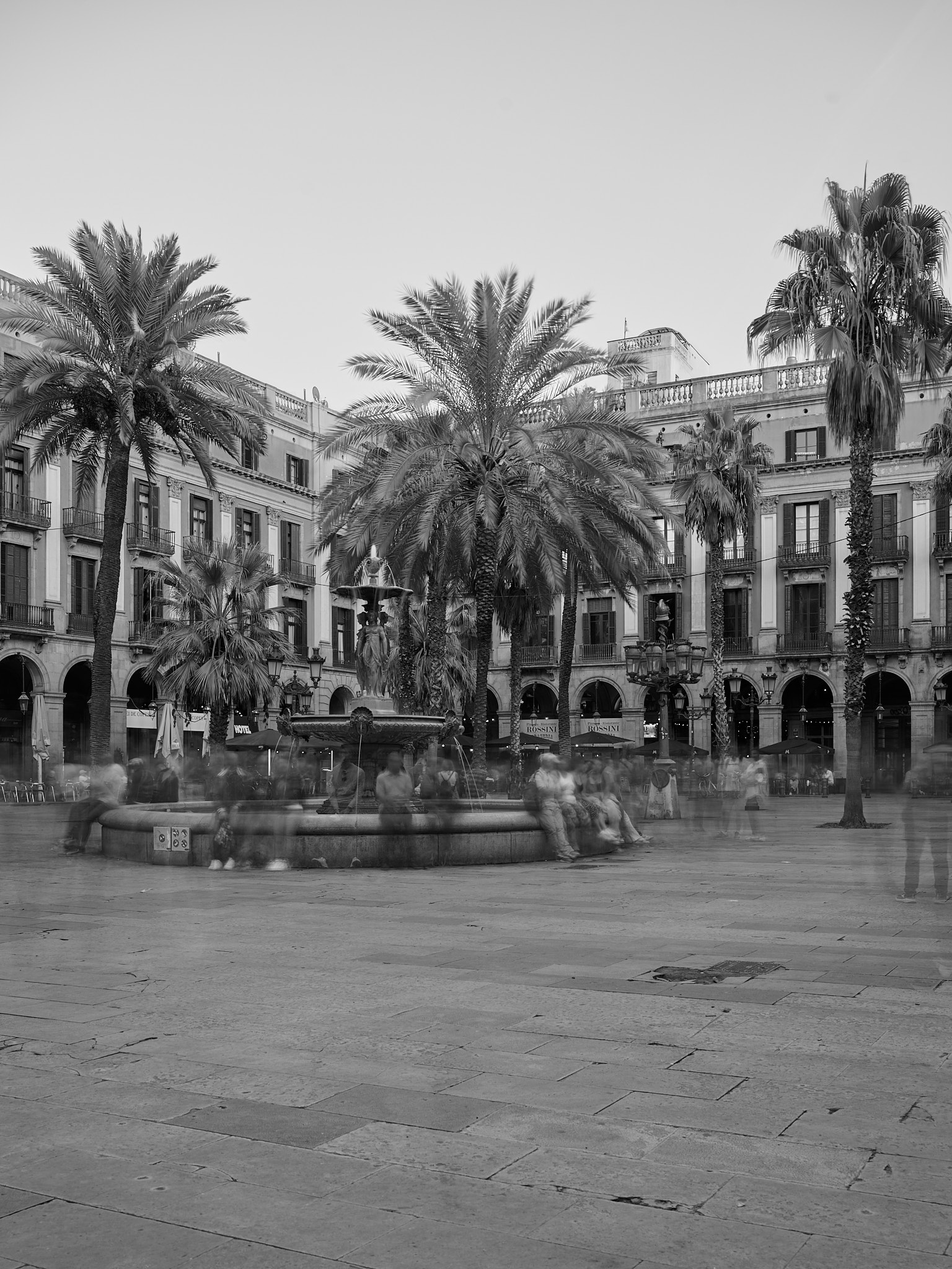 PlacaReial